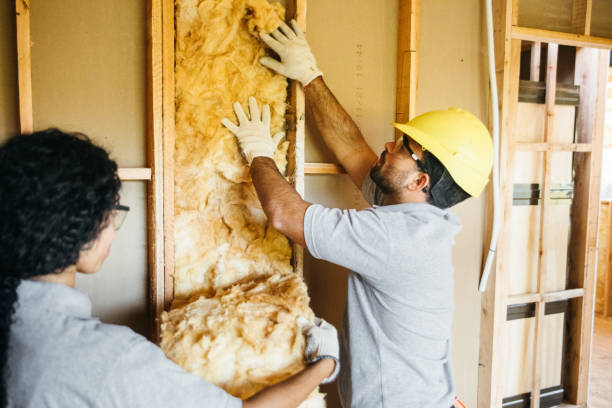 Best Eco-Friendly or Green Insulation Solutions  in Bryan, TX